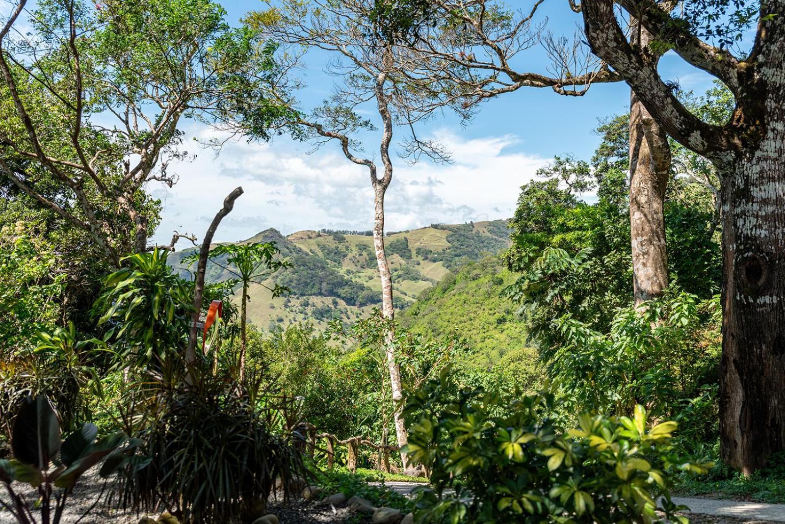 Finca Sunset Monteverde Екстериор снимка
